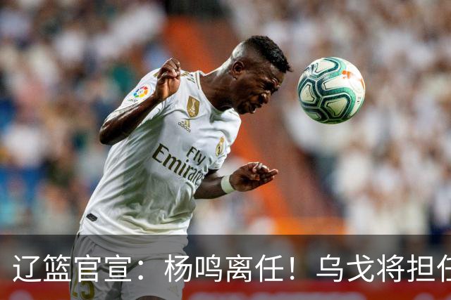辽篮官宣：杨鸣离任！乌戈将担任辽宁男篮主帅